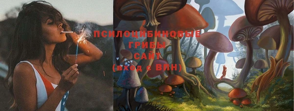 ГАЛЛЮЦИНОГЕННЫЕ ГРИБЫ Абаза