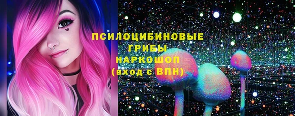 ГАЛЛЮЦИНОГЕННЫЕ ГРИБЫ Абаза