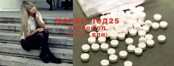 ГАЛЛЮЦИНОГЕННЫЕ ГРИБЫ Абаза